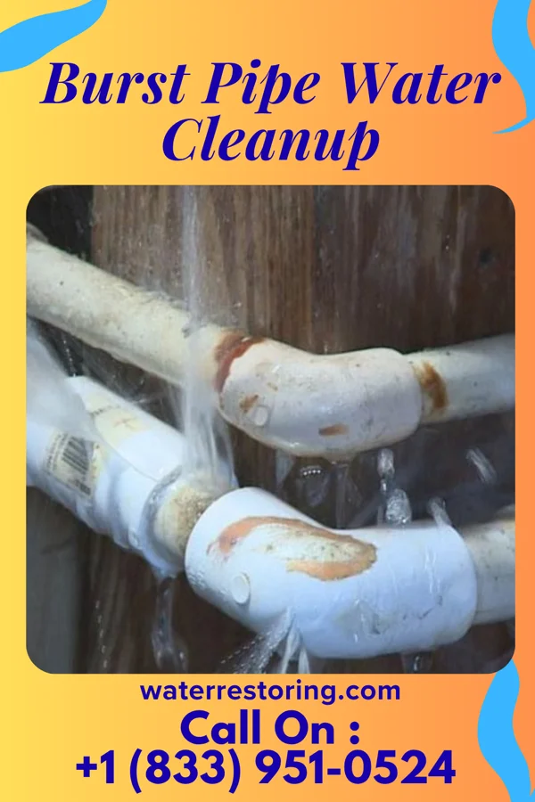 Burst Pipe Water Cleanup in Guymon, OK