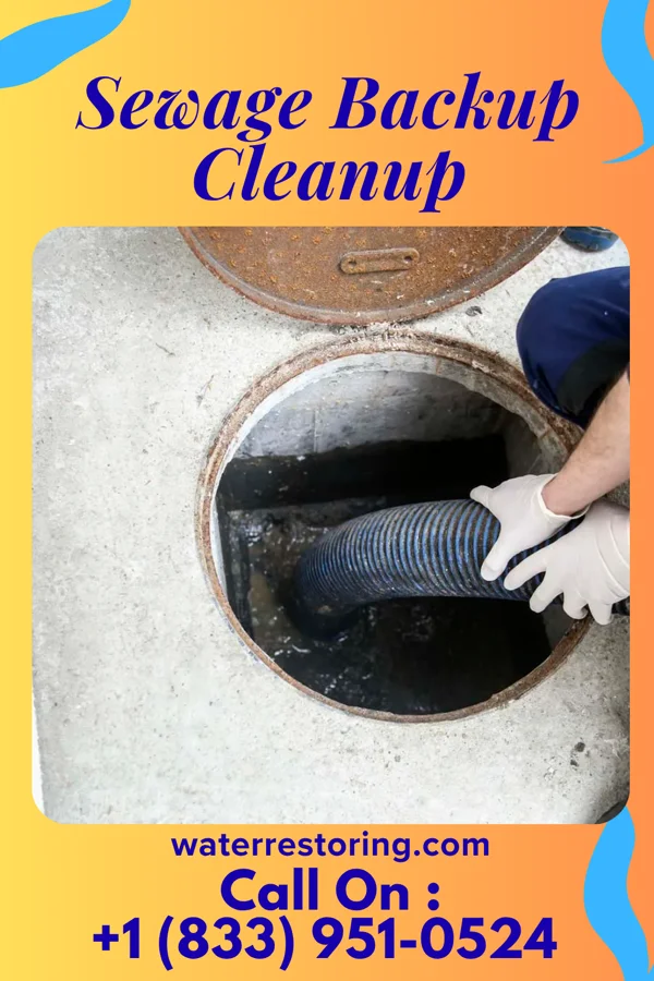 Sewage Backup Cleanup in Guymon, OK